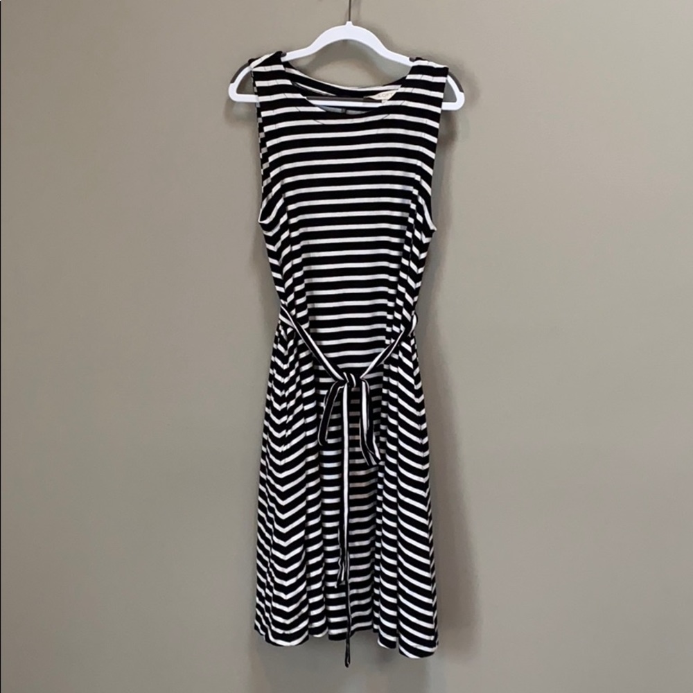 LOFT Sleeveless Swing Dress w/Pockets